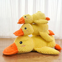 Small Duck