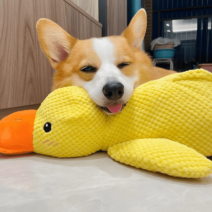 🦁Dog toy Quack duck pet toy