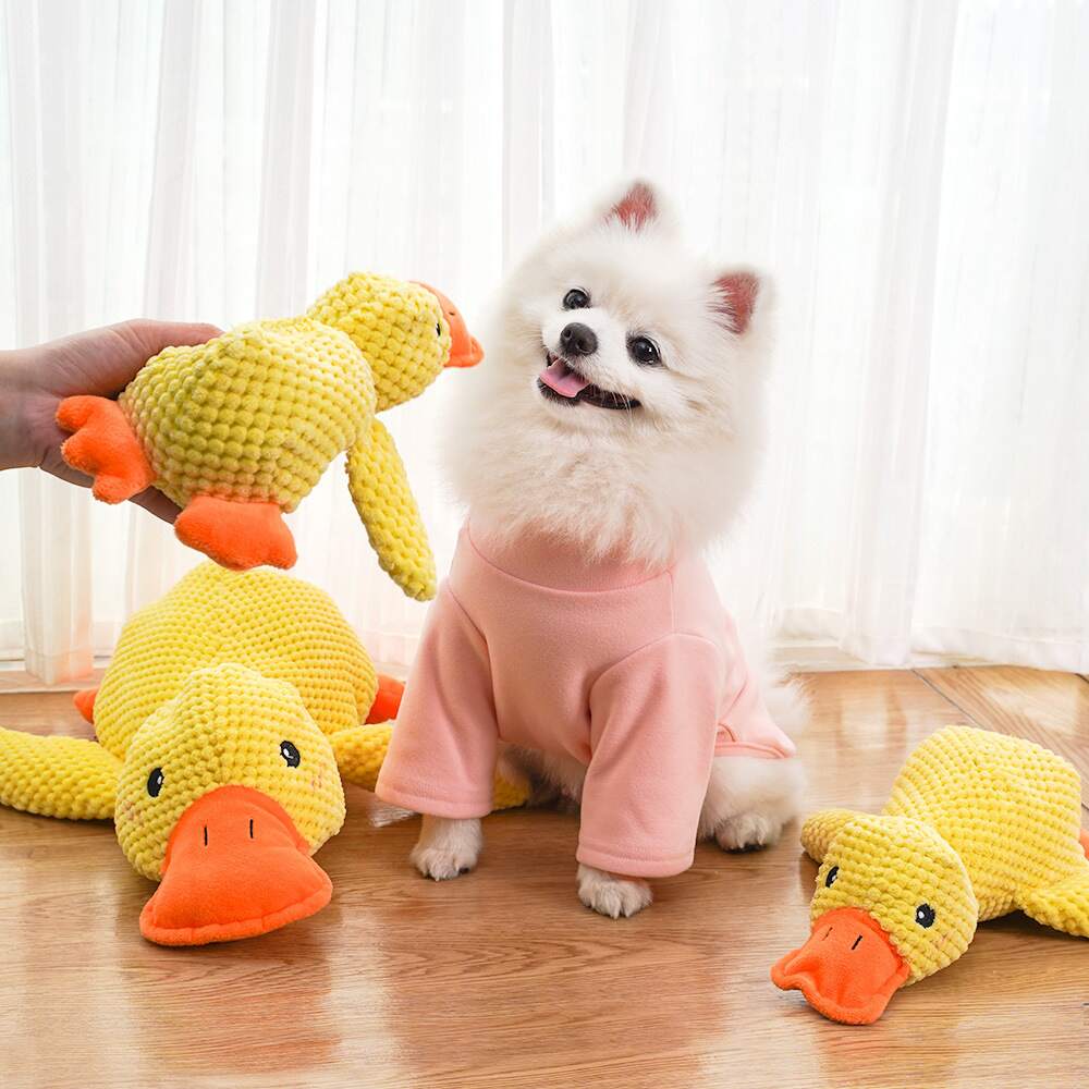 🦁Dog toy Quack duck pet toy