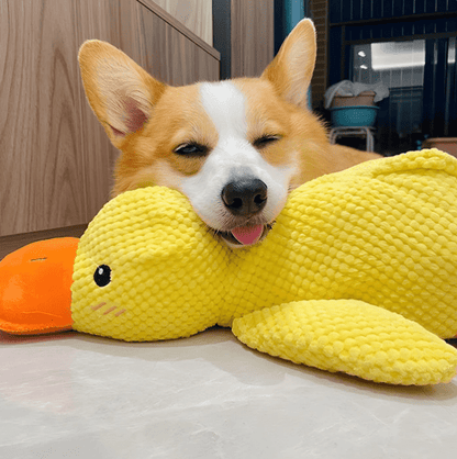 🦁Dog toy Quack duck pet toy